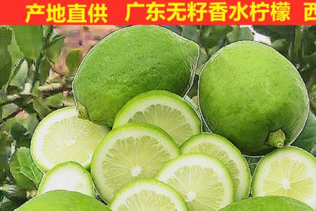 香水柠檬怎么分辨雌雄