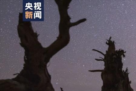 酌星辰赏山河是什么意思