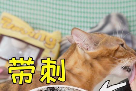 所有的猫舌头上方都有倒刺吗