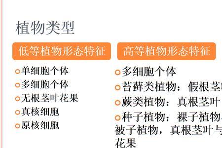 植物复合组织有哪些