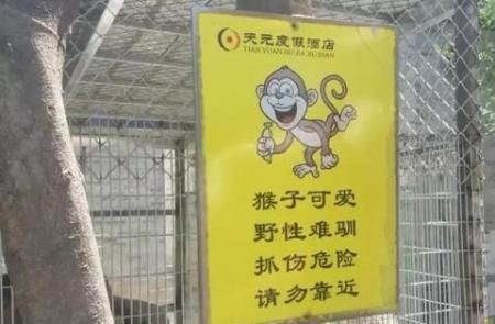 被猴子咬伤赔偿标准