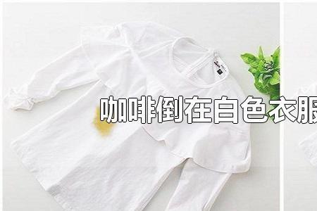 白色衣服上沾上奶茶渍怎么去除