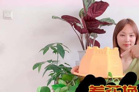 栽歪是什么意思
