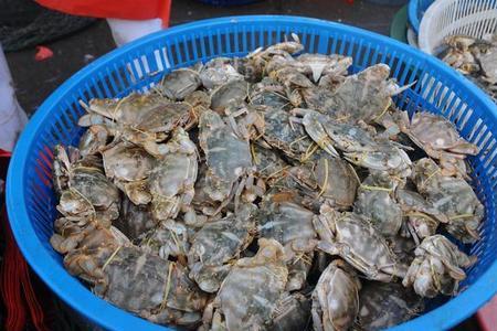 花盖蟹买大的还是小的
