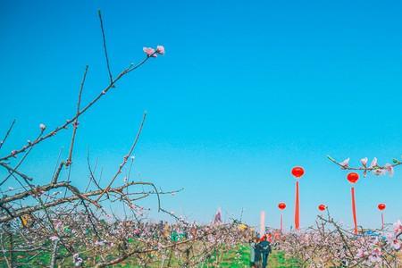 恰逢时节是什么意思