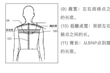 衣服的长度从哪开始测量