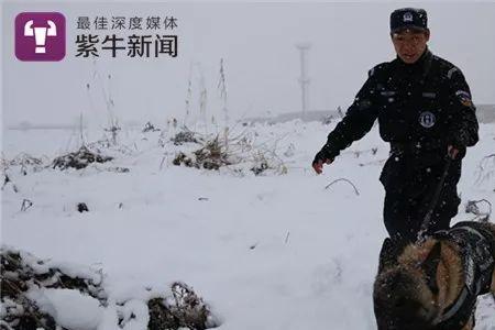 人遗留的气味警犬几天能闻到