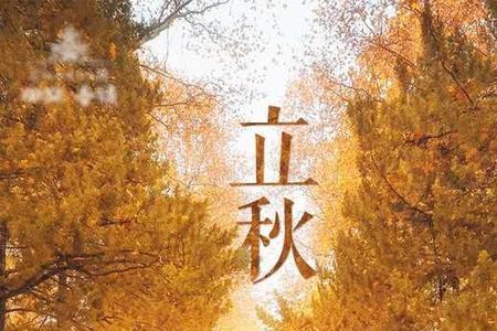 立秋电影主题曲
