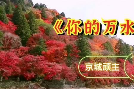 你的万水千山是什么电视剧