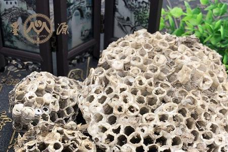 马蜂巢里圆形珠是什么