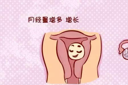 前一周指的是什么