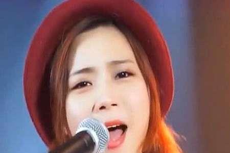 亮声有几个歌手