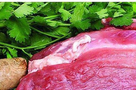 如何辨别猪肉是否有布氏杆菌