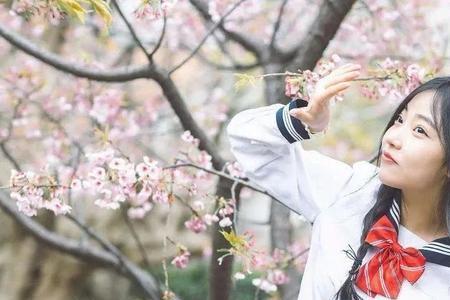 形容美女闻花的诗句