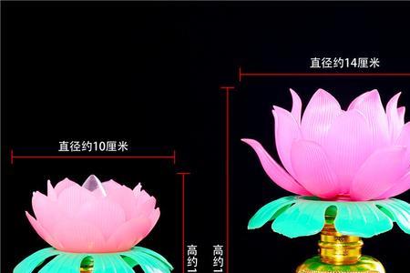一重瓣荷花灯读音