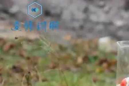 浓硫酸为什么有强腐蚀性