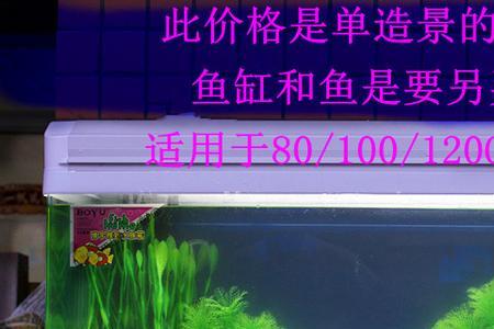 80cm高的鱼缸怎么造景