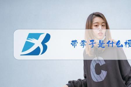 大孝子什么意思