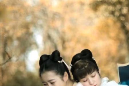 知否原著是谁写的