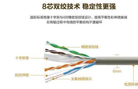 网线选择六类还是八类
