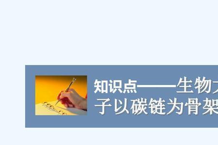 肽链和碳链有什么区别