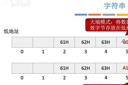 字数和字长是什么