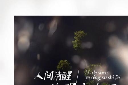 深夜到底有多深文案