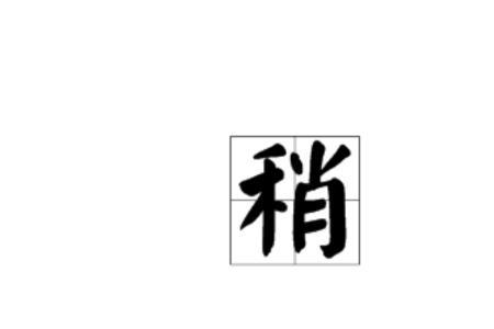 稍年长啥意思