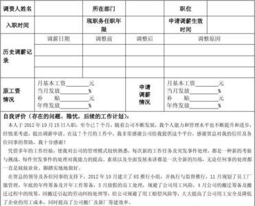 试用期过后调薪理由怎么写