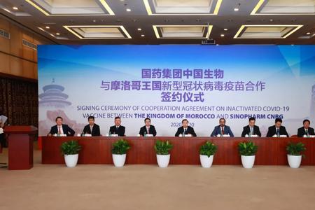 国药大健康是央企吗