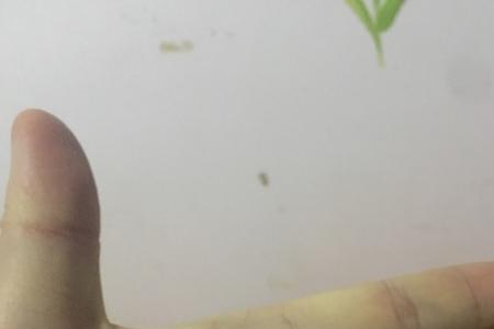 左手右手怎么分