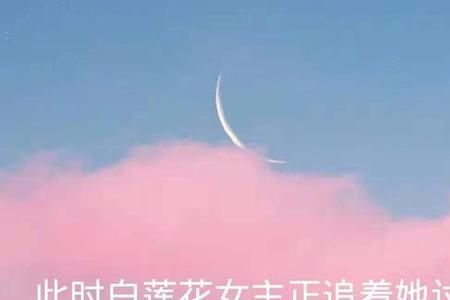 怎样描写白莲花女配的外貌