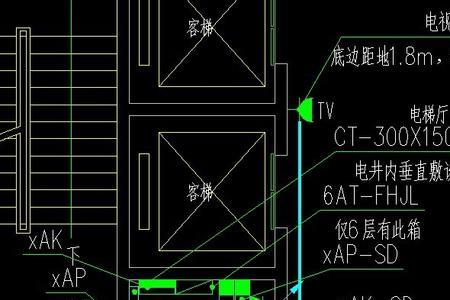 zm是啥意思