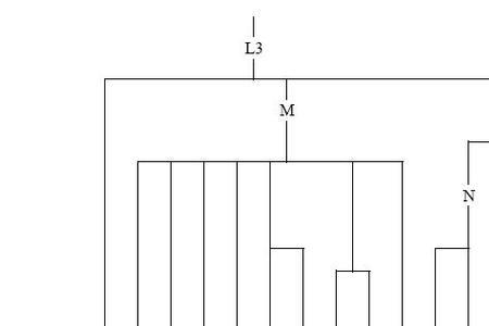 为什么父系基因和母系不是一样