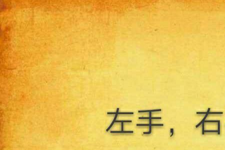 左手和右手代表什么