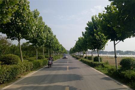 安徽省村村通道路标准政策