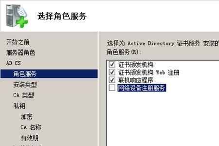 企业ca插件异常什么意思