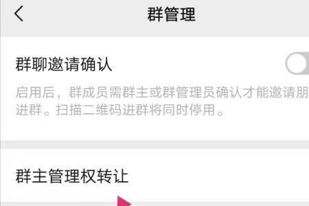 群主转让冷却时间