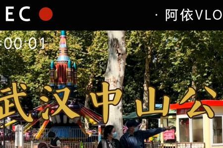 武汉中山公园有桑叶吗