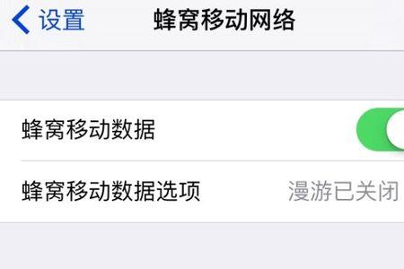 iphone没有蜂窝数据选项怎么解决