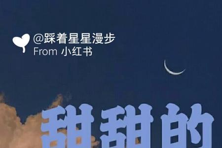 追星中英文案