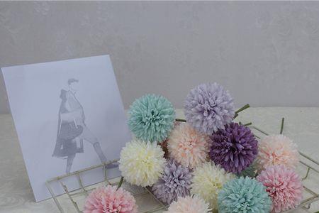 乒乓菊能放在客厅有讲究吗