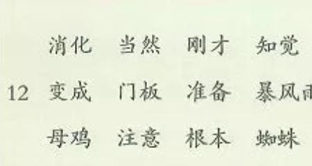 冃可以组什么词