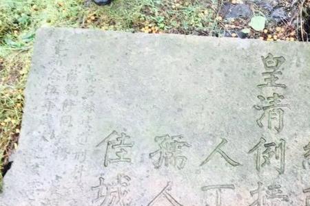 越南丁姓是汉族吗