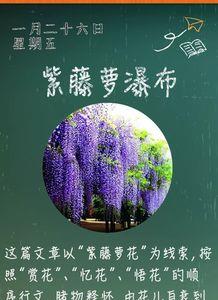 紫的下部分读什么