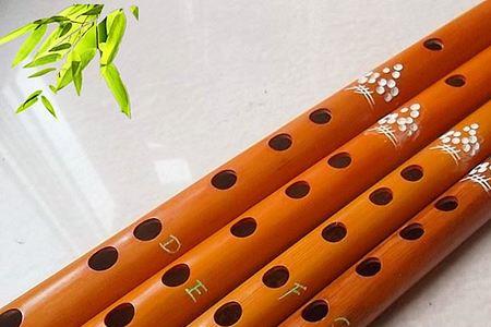 不用很大气就可以吹的乐器
