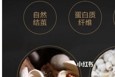 怎么人工培养双宫茧