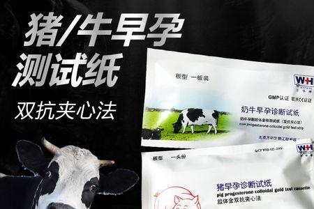 母猪试纸多久可以测出怀孕