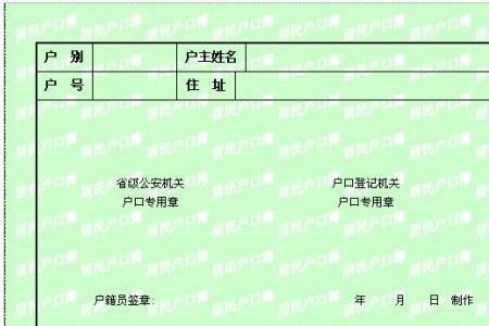 怎么分户到集体户