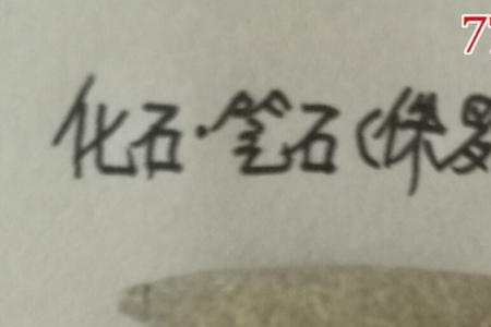 判断笔石的生长方向